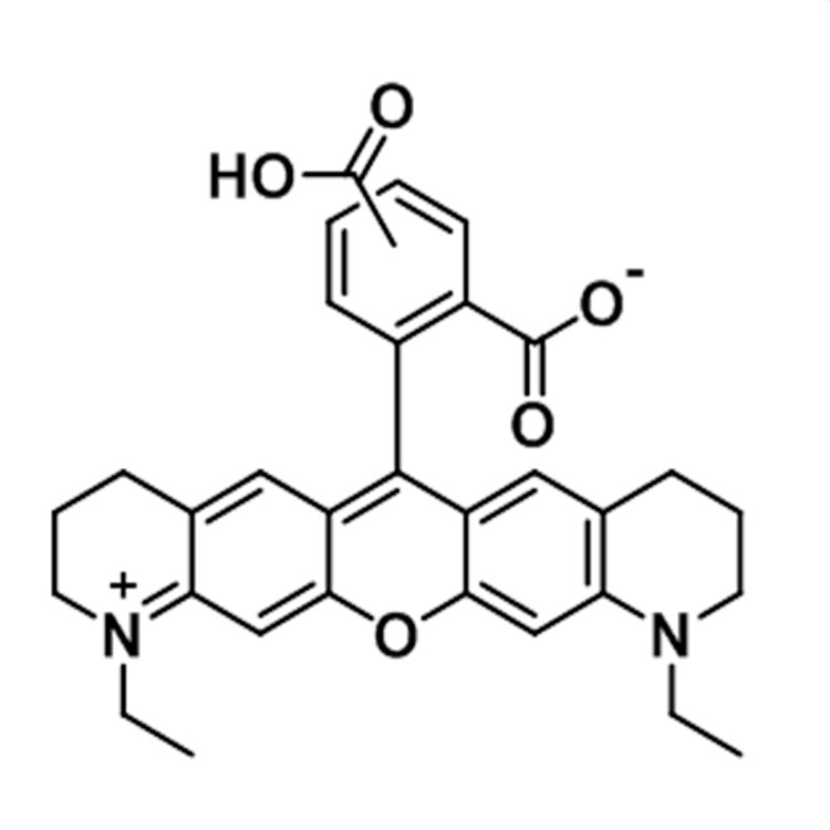 ATTO 565 carboxylic acid，ATTO 565 COOH